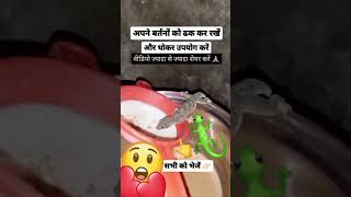 chhipkali 🦎🦎🦎🦎 vairalvideo shortvideo subscribe Apnebartano ko dhankhke rakho video ko sher [upl. by Ocinom28]