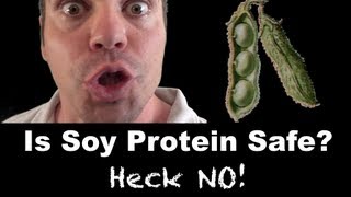 Is SOY Protein Safe For Men  Heck No [upl. by Chelsae]