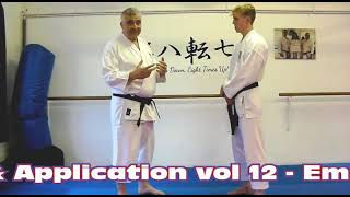 Jitte Bunkai Strategies 2024 week 22 koryu karate oyo jutsu [upl. by Lillian]