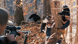 Bear Hunting in West Virginia┃Buckmasters “On the Road” [upl. by Nileak]