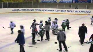 Best kids under 10 mass hockey fight [upl. by Nadabas]