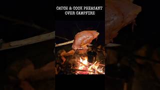 Hunting and cooking pheasant over the campfire [upl. by Hagep]