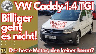 VW Caddy 14 TGI  der beste Motor den keiner kennt [upl. by Renee]