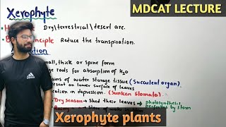 Xerophytes  NMDCAT 2021 [upl. by Pavel]