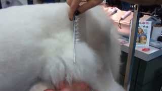 Poodle comb tips [upl. by Dinan]