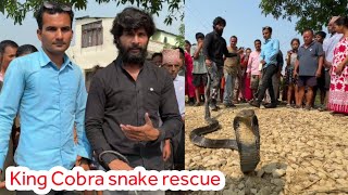 🐍😱 Big King Cobra snake rescue in Nepal किंग कोब्रा सर्प समाउँदै Murli wale hausala [upl. by Morty]