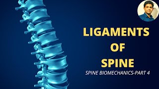 LIGAMENTS OF SPINE  SPINE BIOMECHANICS Part 4 [upl. by Enimasaj335]