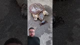 De lenta não tem nada 🐢 [upl. by Nortyad241]