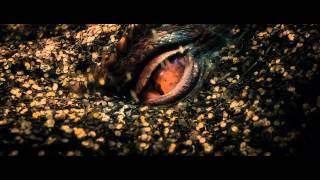 The Hobbit The Desolation of Smaug IMAX® TV Spot [upl. by Ameline630]