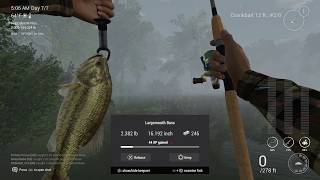 How To Catch Trophy Large Mouth Bass Easy  Neherrin River North Carolina  Tutorial 3 [upl. by Jamey]