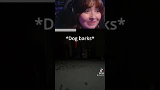 My dog barked and triggered my microphone in A Quiet Place 🤣😭 gaming twitch horrorgaming funny [upl. by Gulick]