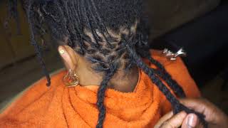 Two Strand Twist Dreadlock Tutorial  Double Twist Rope twist  Dreadlock Styling Tutorial [upl. by Dub]