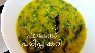 പാലക്ക് പരിപ്പ് കറി 😋👌Dal Palak Curry Spinach amp Lentil  Palak amp Dal RecipePalak Dal Dhaba style [upl. by Eckart539]