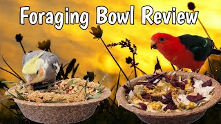 AampE Cage Company Vitapol Vita Line Bird Coconut and Millet Salad Bowls Review [upl. by Harding]