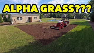 Mowing Lawn Dethatching Slice Seeding Core Aeration Kentucky Bluegrass [upl. by Sweet842]