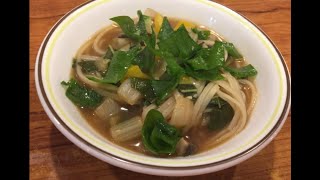 Bok Choy Noodle Soup  Homestead Seed [upl. by Altis]