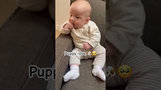 Wagging tails are the best 🐶 babygirlforlife fourmonthsold cutebaby 1127 [upl. by Olram]