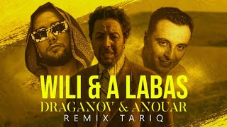 Draganov ft Anouar  WILI amp A Labas  TARIQ REMIX [upl. by Norek]