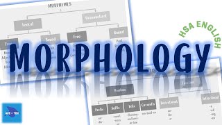 Morphology  English Language  HSA English Examination [upl. by Hodges736]