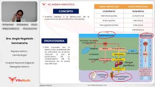 ANEMIA HEMOLÍTICA  HEMATOLOGÍA  VILLAMEDIC [upl. by Lamej]