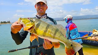 We organized our own Peacock Bass fishing competition  Brokopondo Lake Suriname [upl. by Emmet709]