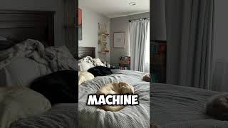 Im a snoozing machine dog funny viralvideo [upl. by Stokes]