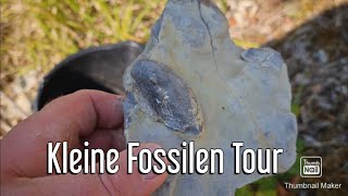 Kleine Fossilien Tour Muscheln Suchen folge 39 fossi outdoors outdoor [upl. by Attlee42]