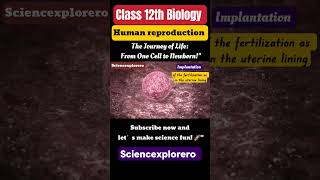 Part 1  Human reproduction class 12 Biology chapter 3ncert neet cbse sciencexplorero [upl. by Matthews501]