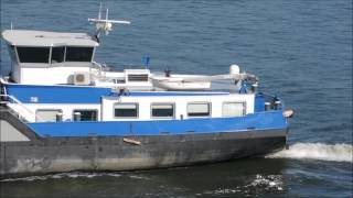 Schiff Mariska auf dem Rhein bei Düsseldorf [upl. by Lichtenfeld]