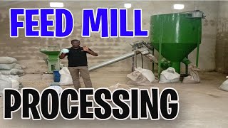 How to Process Feeds for Livestock [upl. by Alfeus826]