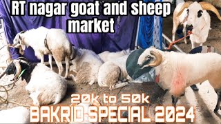 RT nagar goat and sheep market bakrid special 2024 full details video with price 👉 81054 24449 [upl. by Grunenwald814]