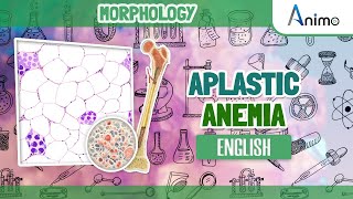 Aplastic Anemia  Histopathology  RBC Morphology  English [upl. by Relyuc]