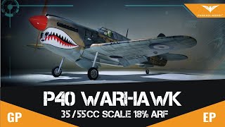 P40 WARHAWK GPEP 3555CC SCALE 18 ARF  PH216 PHOENIXMODEL [upl. by Allekim]