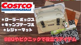 コストコ購入品アウトドアグッズ編 クーラーボックスを買い保冷力チェックもしてみました！ [upl. by Dambro]