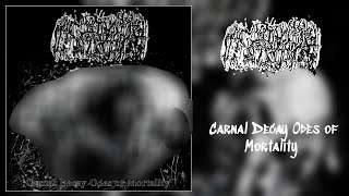 Anastomose  Carnal Decay Odes of Mortality Full Album Deathgrind [upl. by Neilla441]