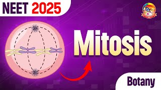 Mitosis  Most Important Questions of Mitosis  NEET Botany  srichaitanyagosala [upl. by Portie]