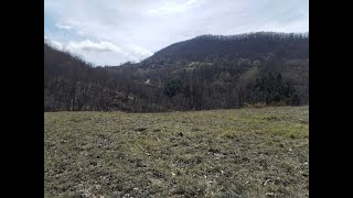 Campo delle meraviglie ottimi ritrovamenti con il metal detector [upl. by Araz89]