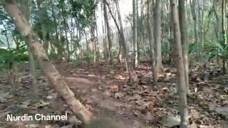 lokasi pamahan karangmangu dusun jambuluwukAGNurdinchannel8591 [upl. by Intisar725]