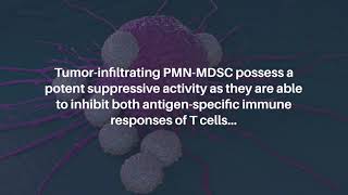 Neutrophil PAD4 How Does it Function in Cancer Beyond Promoting NETosis  Oncotarget [upl. by Silloc]