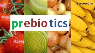 Prebiotics Foods  Prebiotics are good for Digestive Health [upl. by Aserat653]