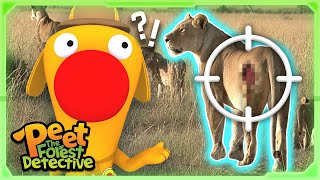 Who Injured the Lions 🦁🔍  Full Episode  Cartoons for Kids  Peet The Forest Detective [upl. by Conlan]