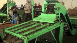 OLAM CASHEW VIETNAM  Cutting Machine [upl. by Nwahsirhc]