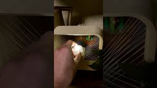 3DPrinted Floating Cangle Light 🕯️💡 3d 3dprinting tutorial aesthetics 3dprinter [upl. by Blainey47]