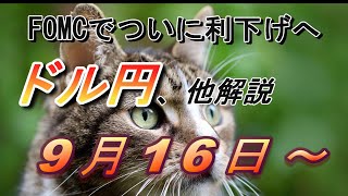 【TAKA FX】FOMC利下げ幅は？ ドル円他各通貨の環境認識解説。各種指数、GOLDなど 9月16日月～ [upl. by Lexerd640]