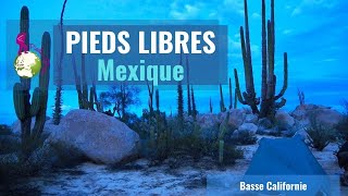 🌎 Baja California en Vélo  Mexique 🚴‍♀ [upl. by Leahcar]