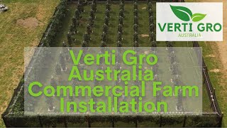 Commercial Vertical Strawberry Farm Installation amp Design [upl. by Hebrew]