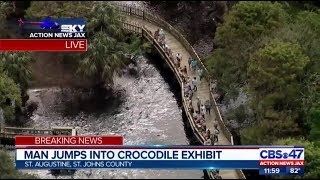 Man jumps into crocodile exhibit at Alligator Farm  Action News Jax [upl. by Rois27]