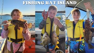 perfect weather Fishing Rat Island Gladstone Qld [upl. by Aleuqahs]