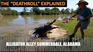 THE DEATH ROLL EXPLAINED Alligator Alley Summerdale AL [upl. by Novehc]