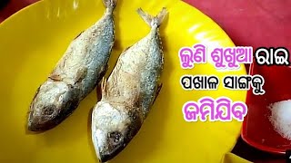 Sukhua Rai  Sukhua Rai Recipe In Odia  Sukhua Besara  Odia Cooking Channel  RS Simple Cooking [upl. by Hokanson]